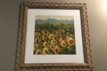 Custom Framing 30